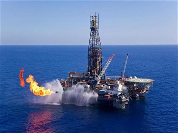 علي خير: تركيا تريد سرقة ثرواتنا الطبيعية في حقول الغاز بقبرص واليونان