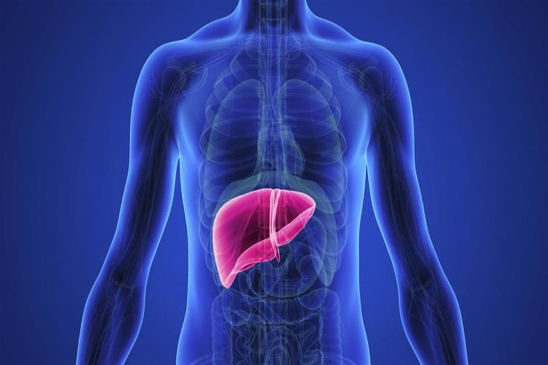 8 أطعمة مفيدة لتنظيف الكبد من السموم (إنفوجرافيك)