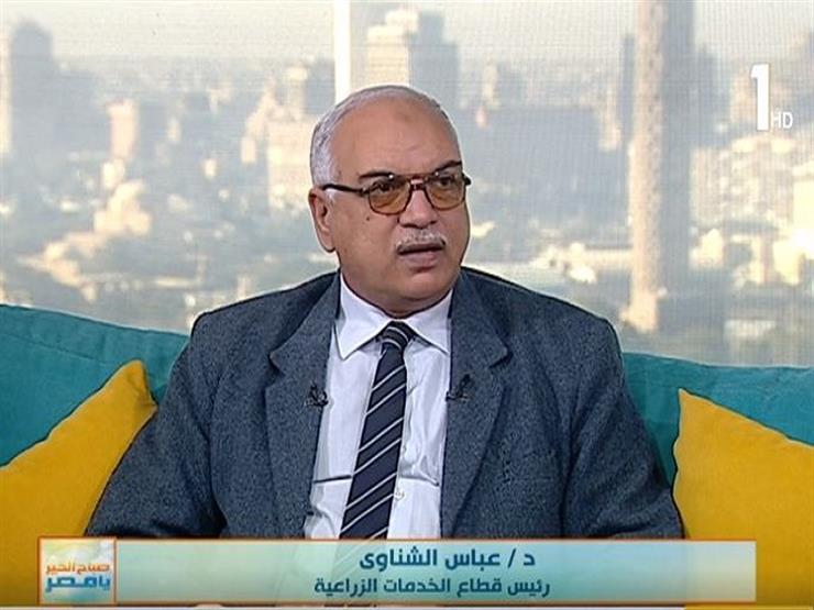 الزراعة: آلية جديدة للتعامل مع المحاصيل الشرهة لاستهلاك المياه- فيديو