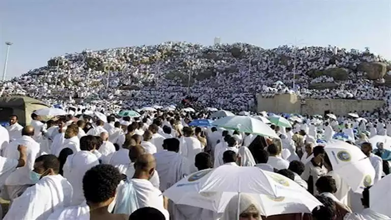 عضو بـ”غرفة شركات السياحة”: أعداد المتقدمين لأداء الحج السيا