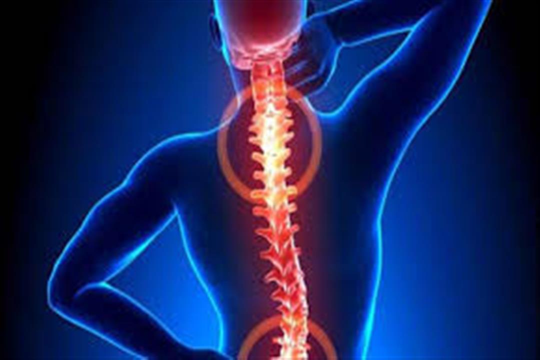 بديل آمن للفياجرا.. 6 فوائد صحية لعشبة العنزة (صور6