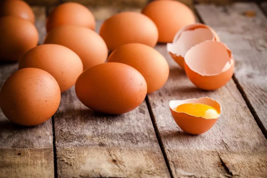 البيض النيء أبرز مصادرها.. إليك كل ما تريد معرفته عن السالمونيلا