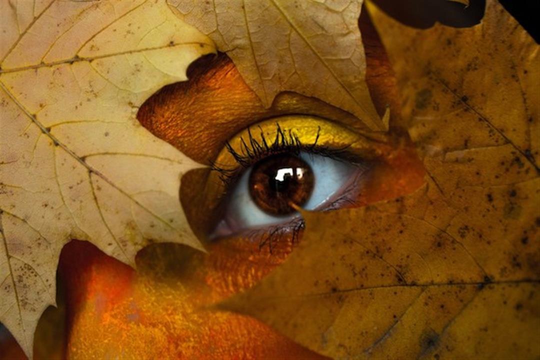 5 نصائح للحفاظ على صحة العين في فصل الخريف