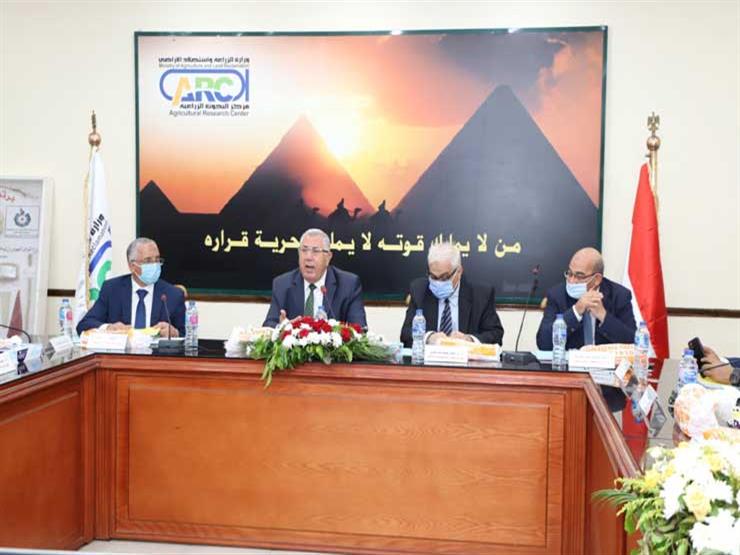 وزير الزراعة: بروتوكول تعاون مع وزارة الاتصالات للتوسع في ميكنة الخدمات الزراعية وزير الزراعة: بروتوكول تعاون مع وزارة الاتصالات للتوسع في ميكنة الخدمات الزراعية