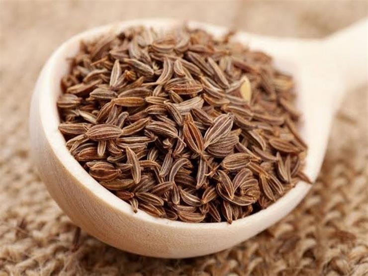 فوائد صحية مذهلة لبذور الخلة.. كيف تتجنب آثارها الجانبية؟ فوائد صحية مذهلة لبذور الخلة.. كيف تتجنب آثارها الجانبية؟