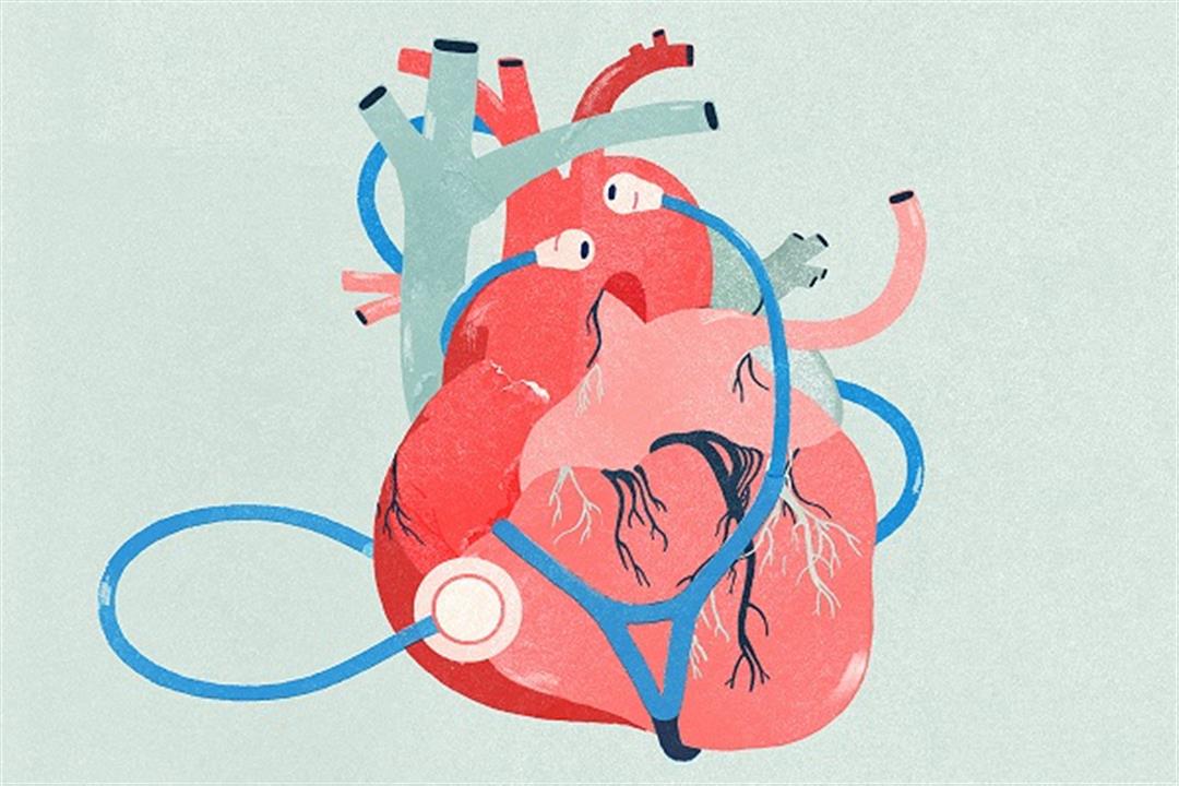 أمراض القلب