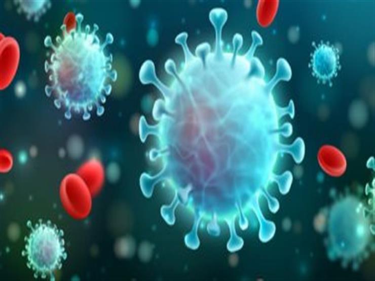 دراسة تكشف المصدر الأكثر شيوعًا لانتشار فيروس كورونا