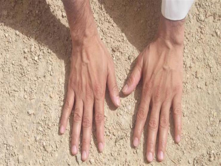 منها نزع الخاتم والتوجه للقبلة.. 10 سنن للتيمم يوضحها علي جمعة منها نزع الخاتم والتوجه للقبلة.. 10 سنن للتيمم يوضحها علي جمعة