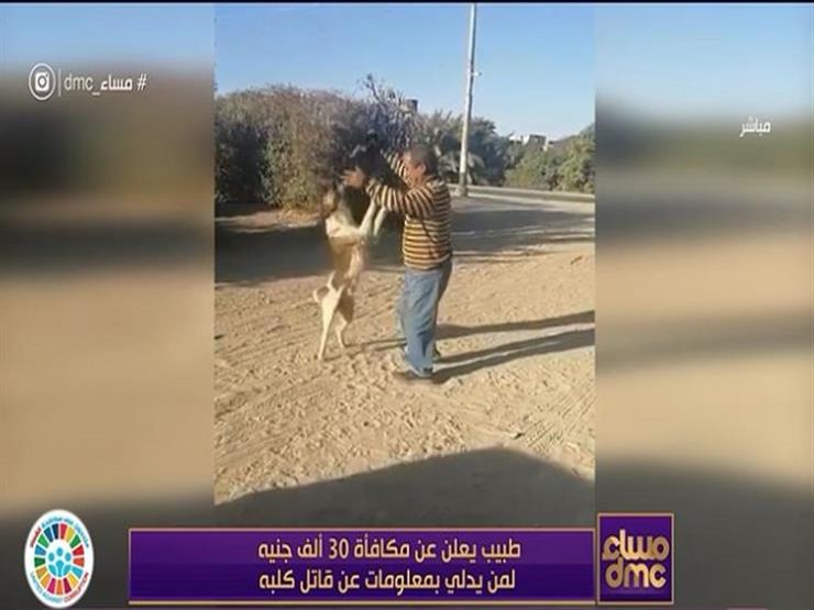 "بكيت عليه لما دفنته".. طبيب يوضح تفاصيل إعلانه مكافأة 30 ألف جنيه لمن يدلي عن قاتل كلبه