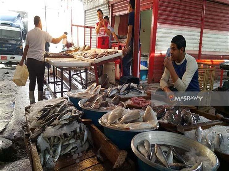تراجع البلطي والجمبري.. أسعار الأسماك في سوق العبور اليوم تراجع البلطي والجمبري.. أسعار الأسماك في سوق العبور اليوم