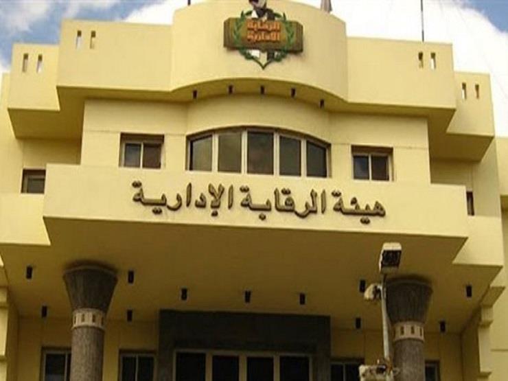 "الرقابة الإدارية" تحتفل باليوم الإفريقي لمكافحة الفساد "الرقابة الإدارية" تحتفل باليوم الإفريقي لمكافحة الفساد