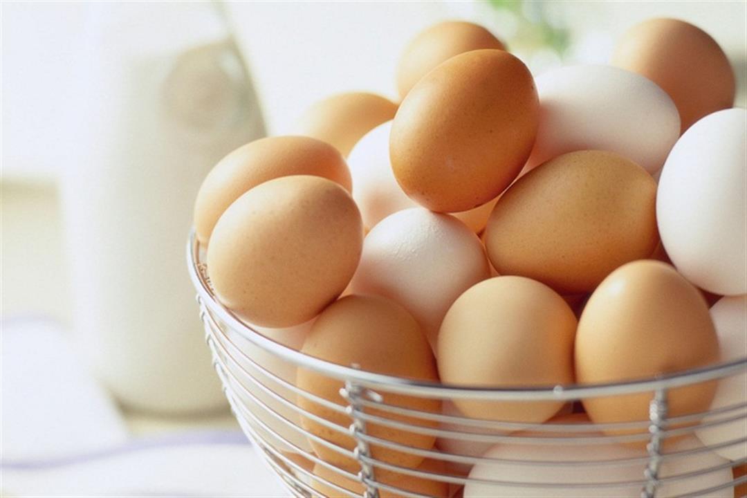 البيض البلدي أم العادي.. أيهما أفضل لصحة الإنسان؟