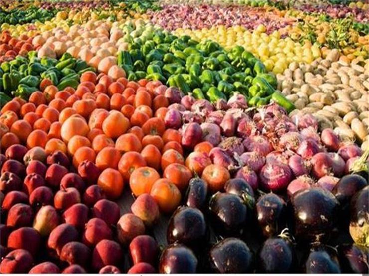 الزراعة": فتح 17 سوقًا جديدة للصادرات الزراعية المصرية
