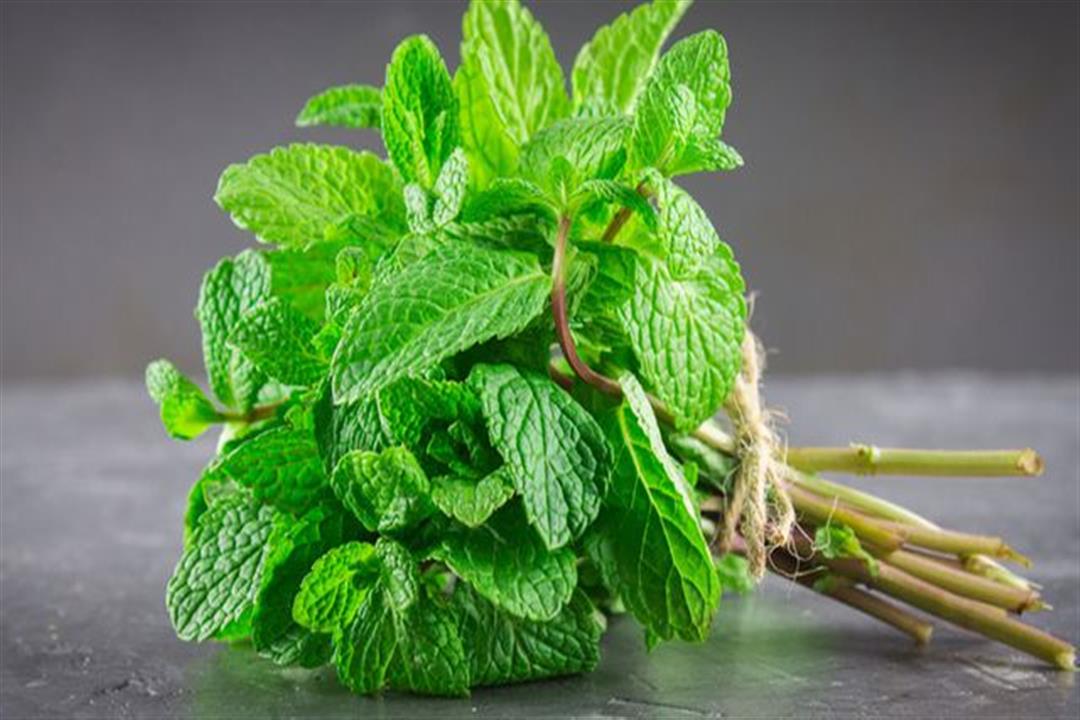 87b75e5ff733ef5b544b982f5b7aa6334620c3f6