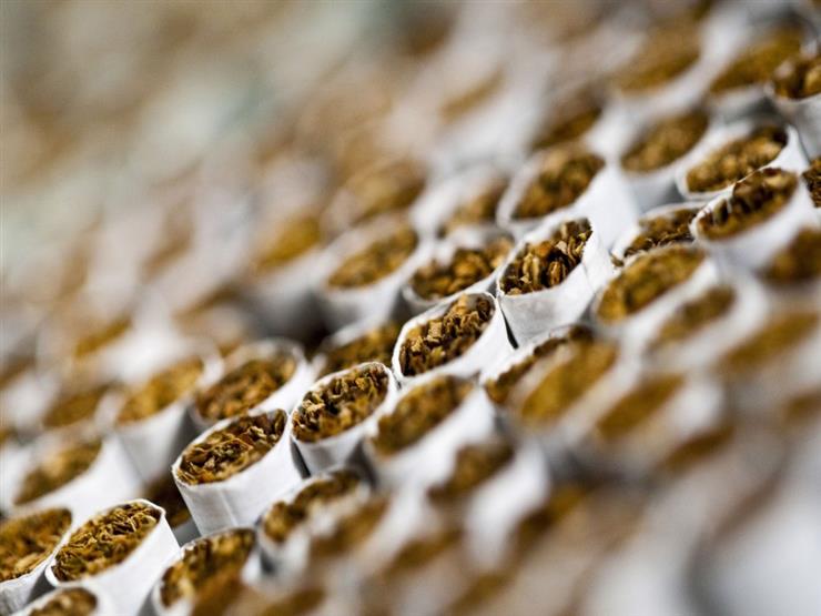  "الشرقية للدخان": ندرس السوق المصرية لتصنيع التبغ المُسخن
