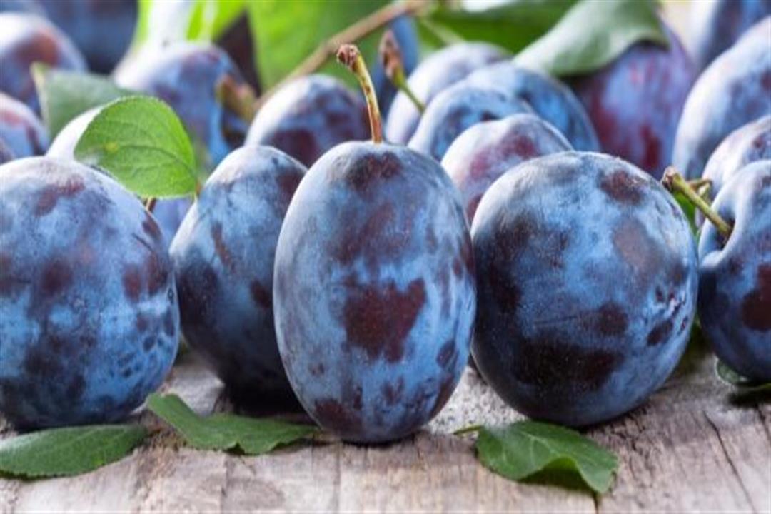 الخوخ الأزرق