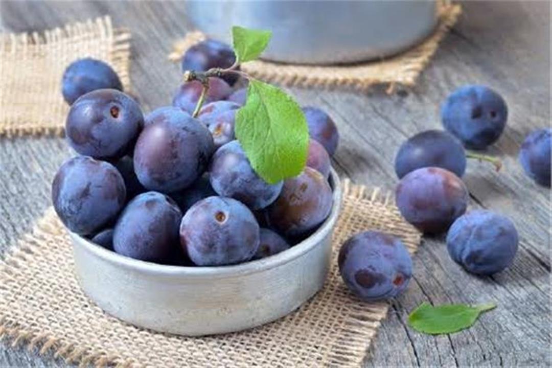 البرقوق الأزرق