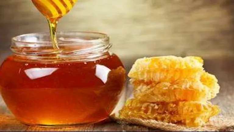 العسل وفوائده الصحية في تقلبات الفصول