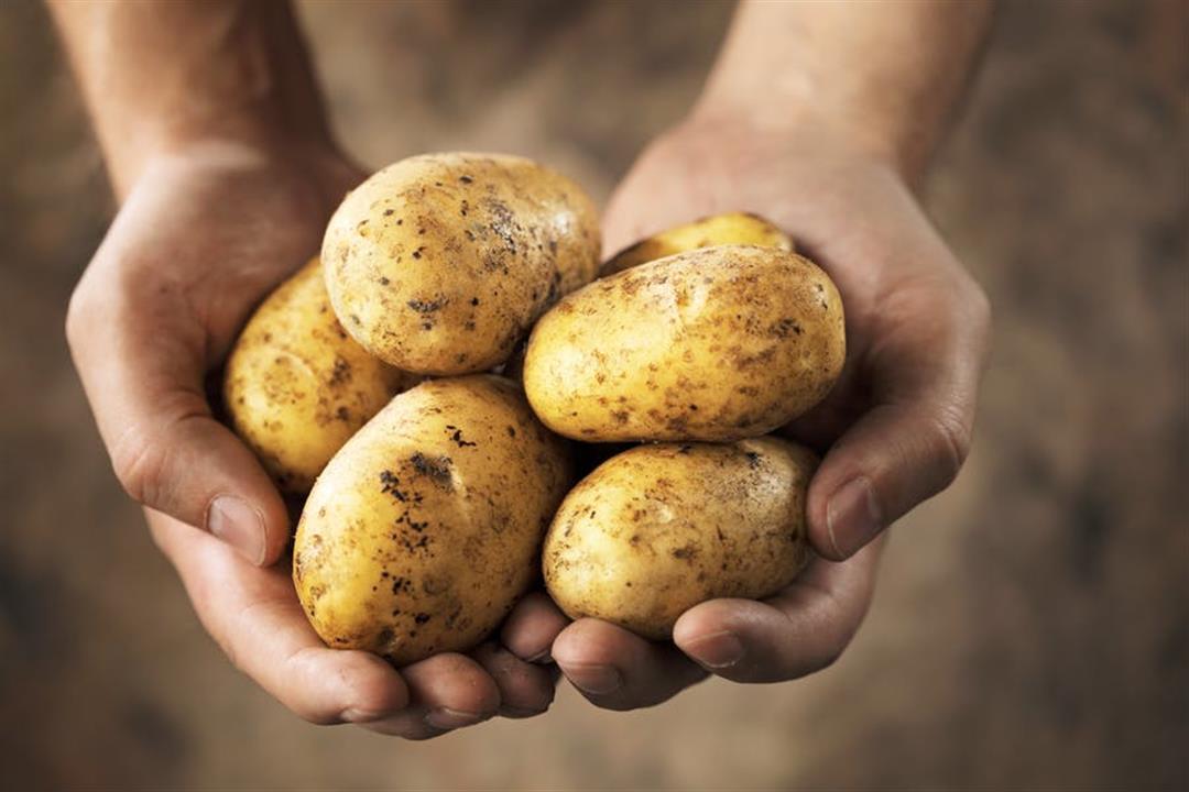 potatoes