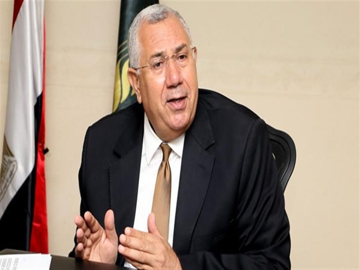 "حفاظًا على التوازن "..وزير الزراعة معلقًا على فتح السوق البرازيلي أمام الموالح المصرية