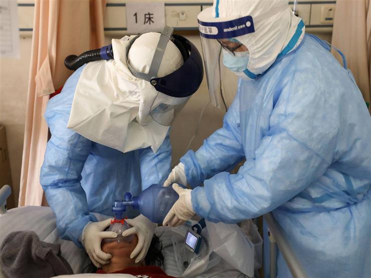 علماء أستراليون يكتشفون كيف يحارب جهاز المناعة فيروس كورونا علماء أستراليون يكتشفون كيف يحارب جهاز المناعة فيروس كورونا