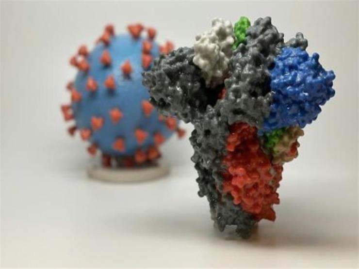 دراسة تكشف خاصية غريبة لفيروس كورونا المستجد