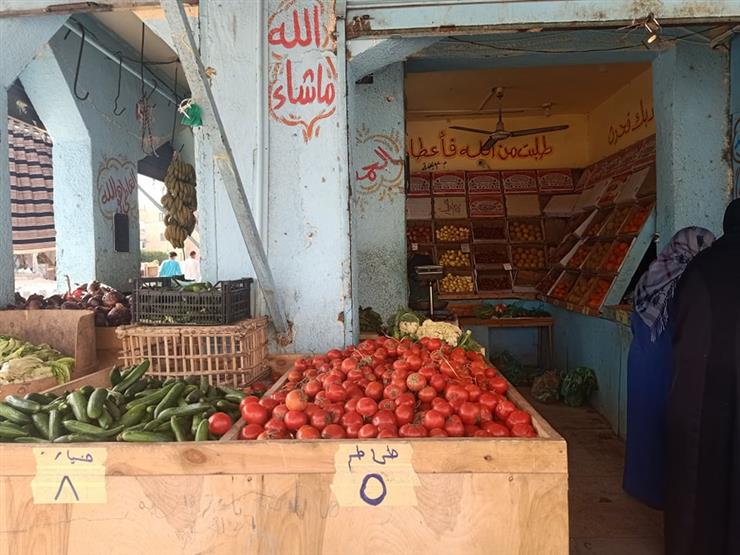 تراجع الطماطم.. أسعار الخضر والفاكهة في سوق العبور اليوم تراجع الطماطم.. أسعار الخضر والفاكهة في سوق العبور اليوم