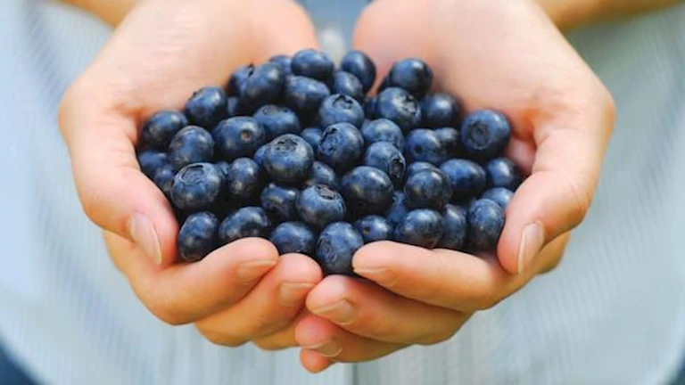كيف يؤثر التوت الأزرق على صحة القلب وضغط الدم؟ 