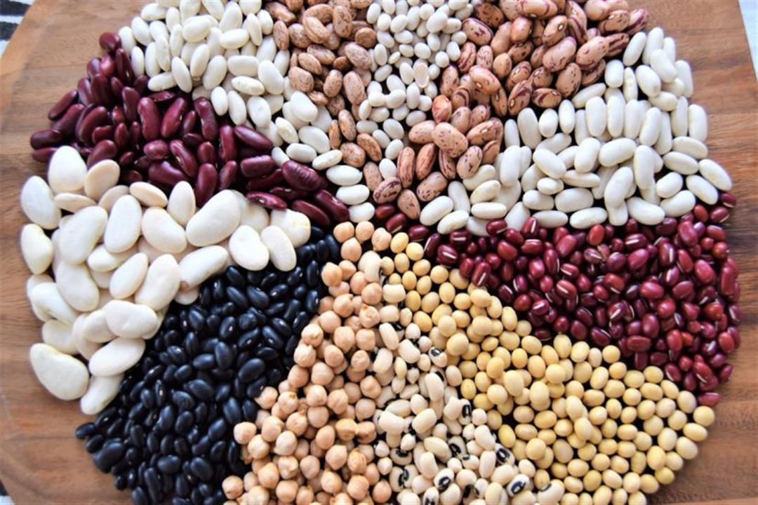 الفاصولياء