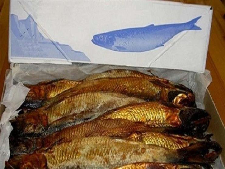 خطورة تناول الأسماك المملحة خلال شهر رمضان.. استشاري تغذية توضح- فيديو