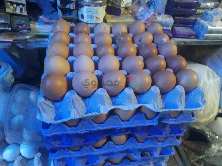 شعبة الدواجن: ارتفاع جنوني في أسعار البيض والتكلفة العادلة للكرتونة 55 جنيه