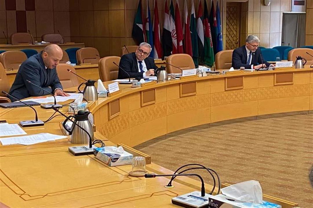 جانب من مؤتمر الصحة العالمية في مصر