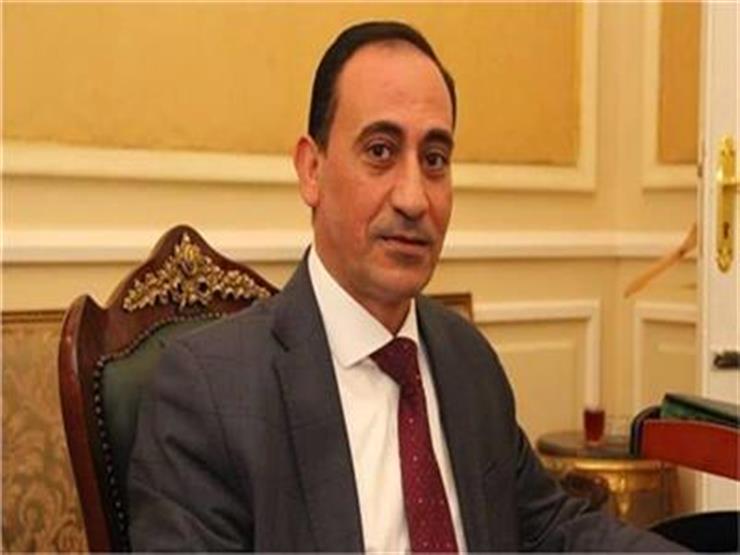 برلماني: ثقتنا في السيسي بلا حدود.. والشعب لن يسمح بإسقاط الدولة برلماني: ثقتنا في السيسي بلا حدود.. والشعب لن يسمح بإسقاط الدولة