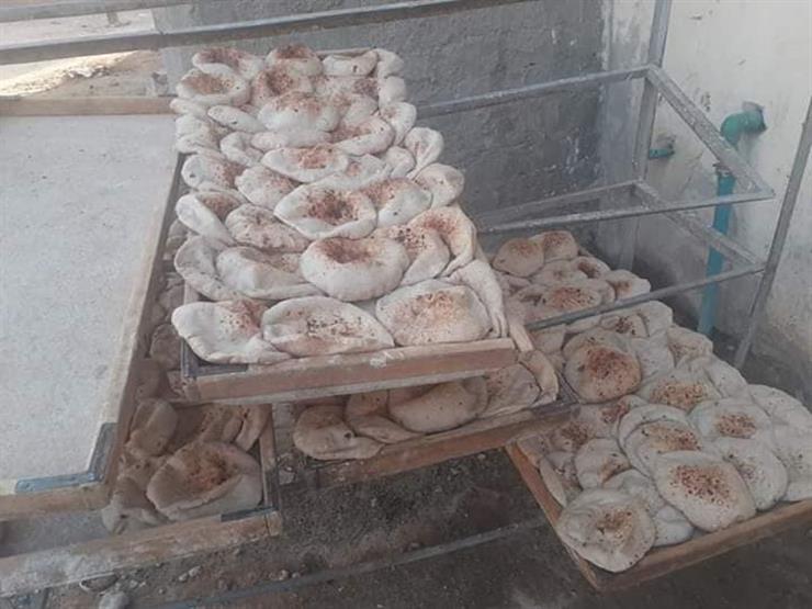 برلماني: رغيف الخبز لم يزيد وزنه عن 90 جرام قبل قرار التموين