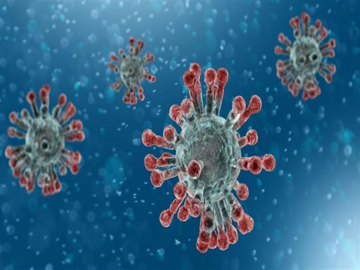 "ليست احترافية".. خبير في علم الأوبئة تعليقًا على دراسة سنغافورة لانتهاء فيروس كورونا بمصر