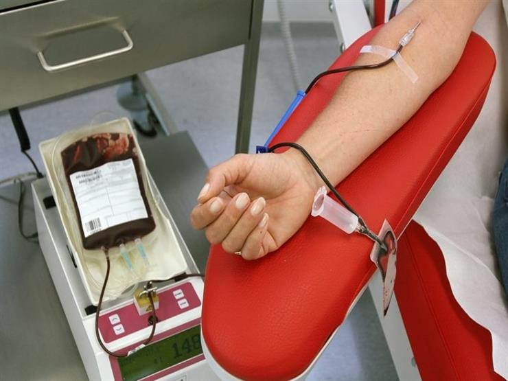 مدير خدمات نقل الدم يكشف عن شروط التبرع بالبلازما- فيديو