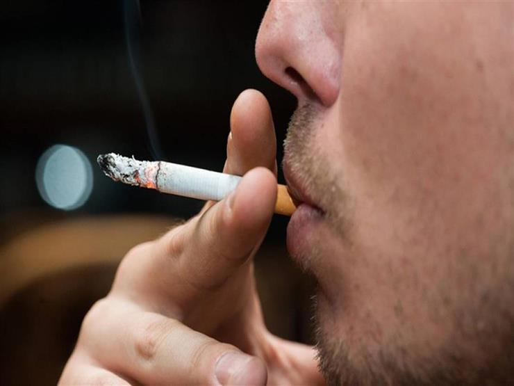 فرنسا تبدأ تجارب لإثبات فاعلية التدخين في مواجهة كورونا