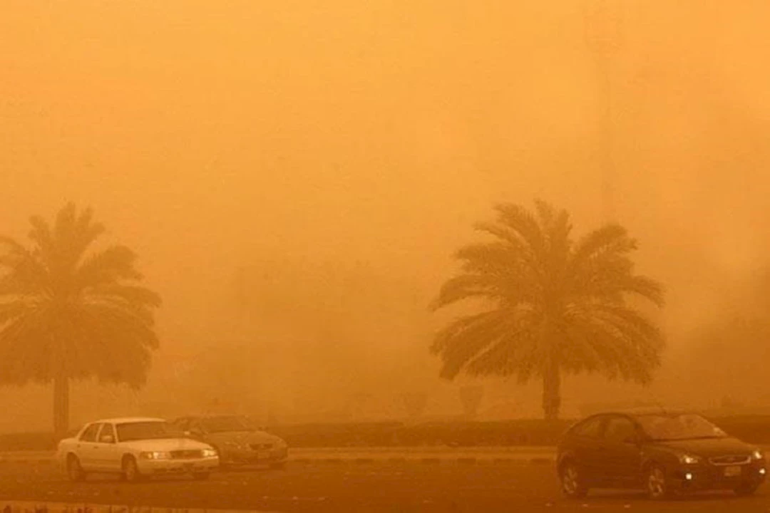 روشتة لمرضى الجيوب الأنفية في العاصفة التربية