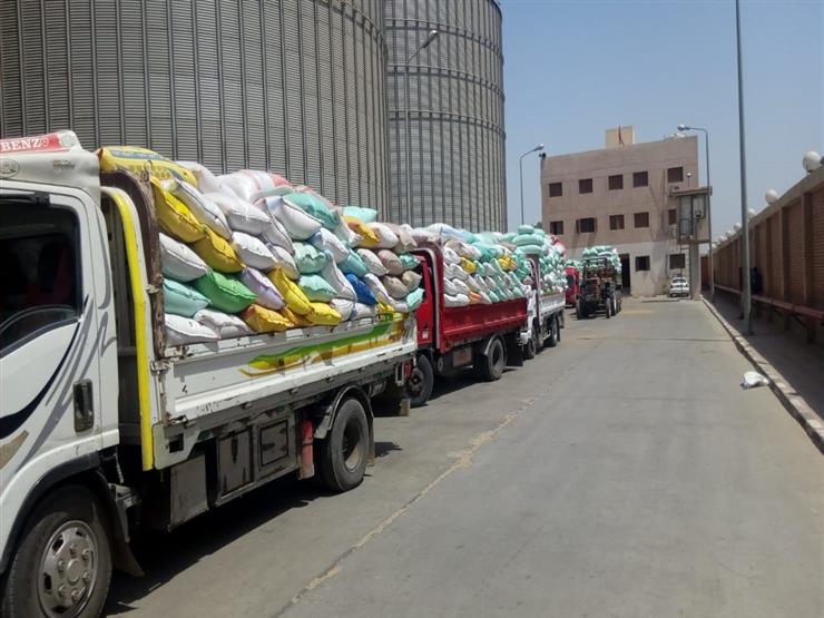 غلق باب توريد القمح في سوهاج بإجمالي 141 طنًا غلق باب توريد القمح في سوهاج بإجمالي 141 طنًا