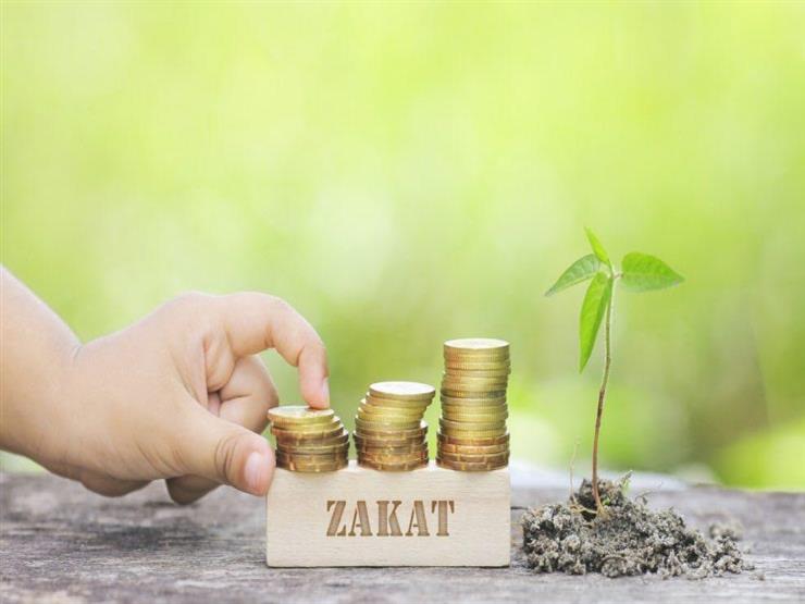 هل يجوز أن أعطي أمي زكاتي؟.. وأمين الفتوى: لا يجوز إلا في هذه الحالة هل يجوز أن أعطي أمي زكاتي؟.. وأمين الفتوى: لا يجوز إلا في هذه الحالة