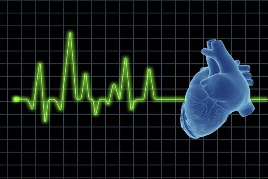 نبضات القلب الطبيعي معدل 8 عوامل