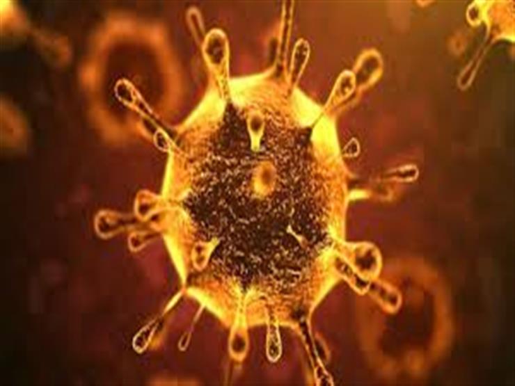 200 طفرة وراثية لكورونا.. دراسة تكشف مفاجآت عن الفيروس 