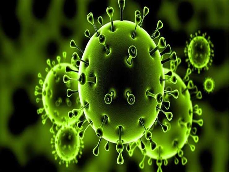 استشاري بالصحة العالمية: بوابات التعقيم لا فائدة لها ومن الوارد ظهور فيروس جديد
