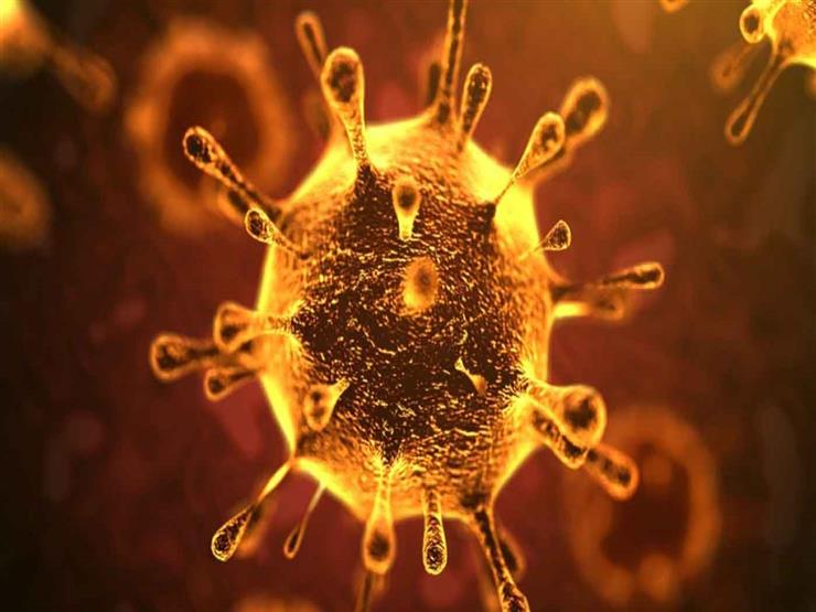أستاذ حساسية ومناعة يوضح سبب كون الرجال أكثر عُرضة للإصابة بفيروس كورونا