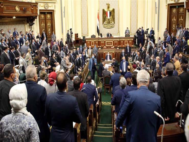 برلماني: أعضاء النواب تجردوا من انتماءاتهم السياسية وتوحدوا تحت العلم المصري