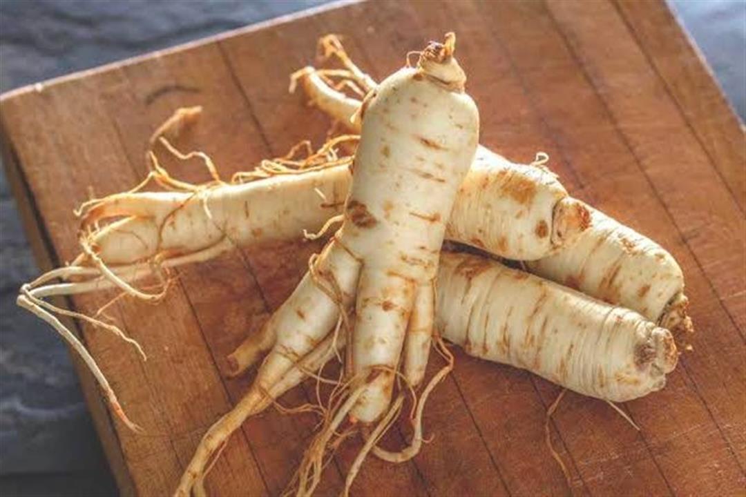 عشبة الجنسنج