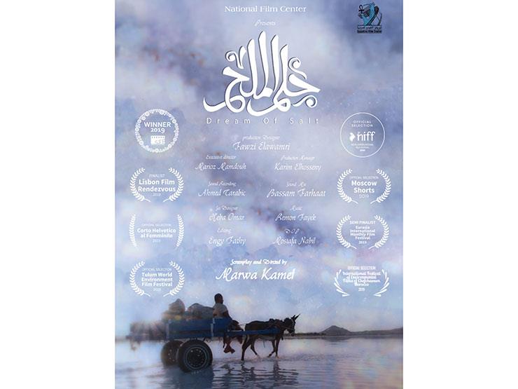 "حلم الملح".. رحلة أفضل فيلم وثائقي عن الحضارة المصرية بمهرجان RAGFF "حلم الملح".. رحلة أفضل فيلم وثائقي عن الحضارة المصرية بمهرجان RAGFF