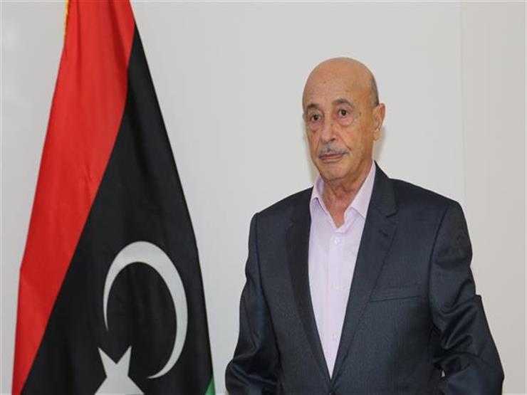 رئيس مجلس النواب الليبي يصل موسكو ويلتقي وزير الخارجية الروسي رئيس مجلس النواب الليبي يصل موسكو ويلتقي وزير الخارجية الروسي