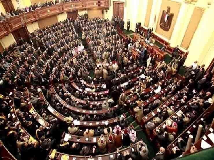 برلماني:  مشهد رفع رئيس النواب لتوصيات تنسيقية الأحزاب كان "تاريخيًا"
