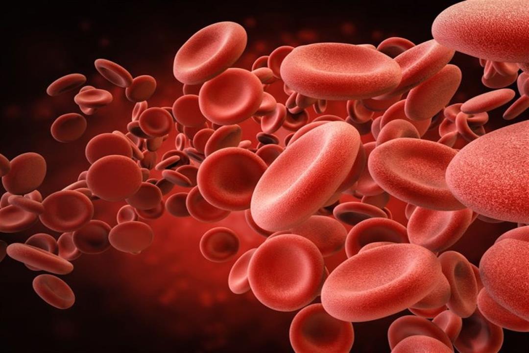 بخلاف الحديد.. 5 فيتامينات لتعزيز إنتاج خلايا الدم الحمراء (صور)
